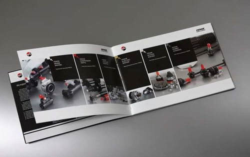 画册版式设计欣赏 图文之间的艺术制作